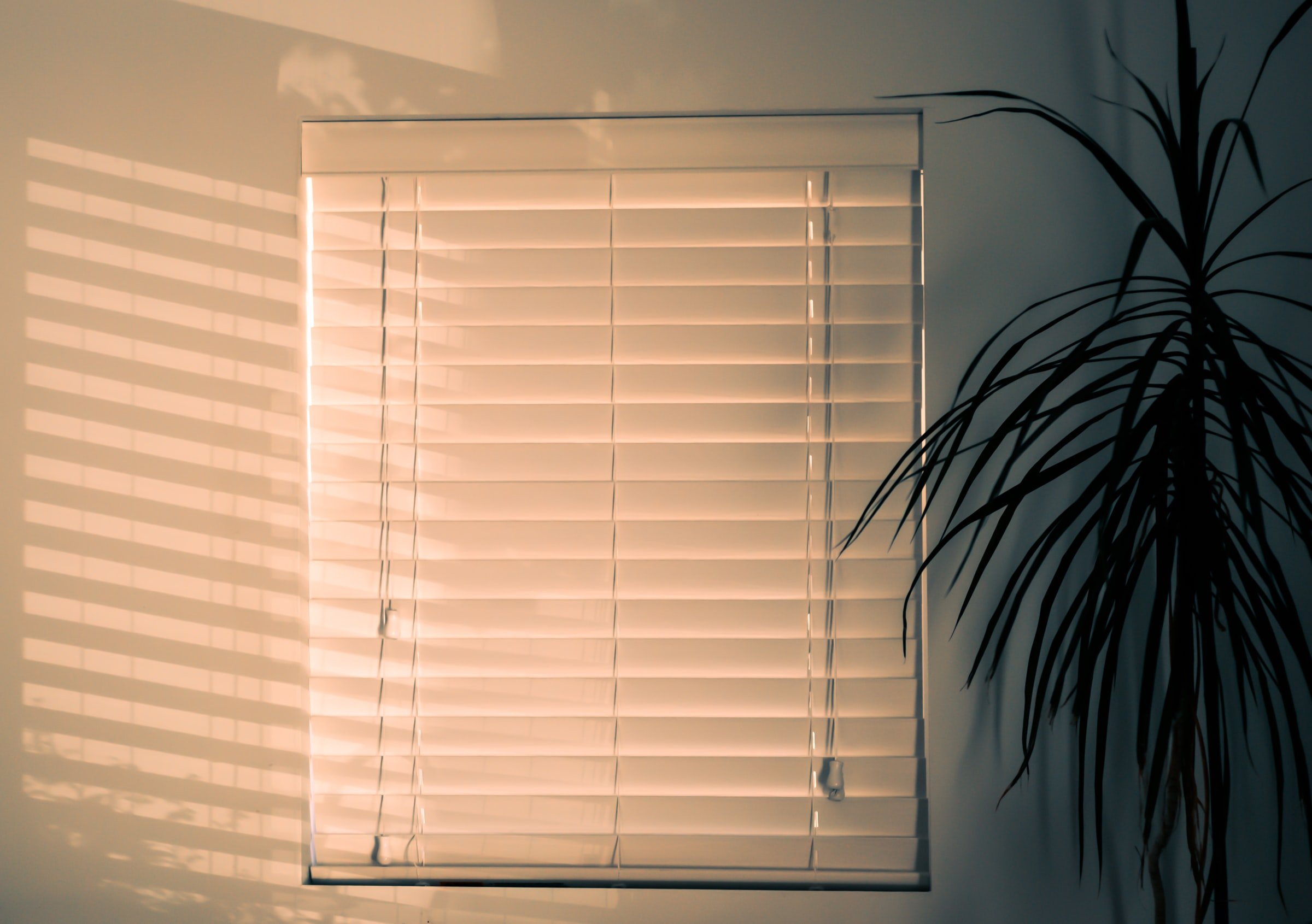 What you need to know about window blind safety Articles