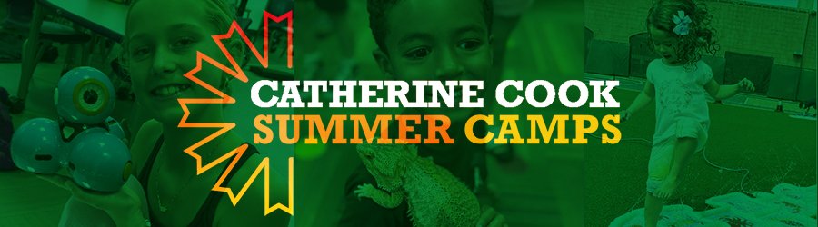catherine-cook-camp-banner-20260226.jpg